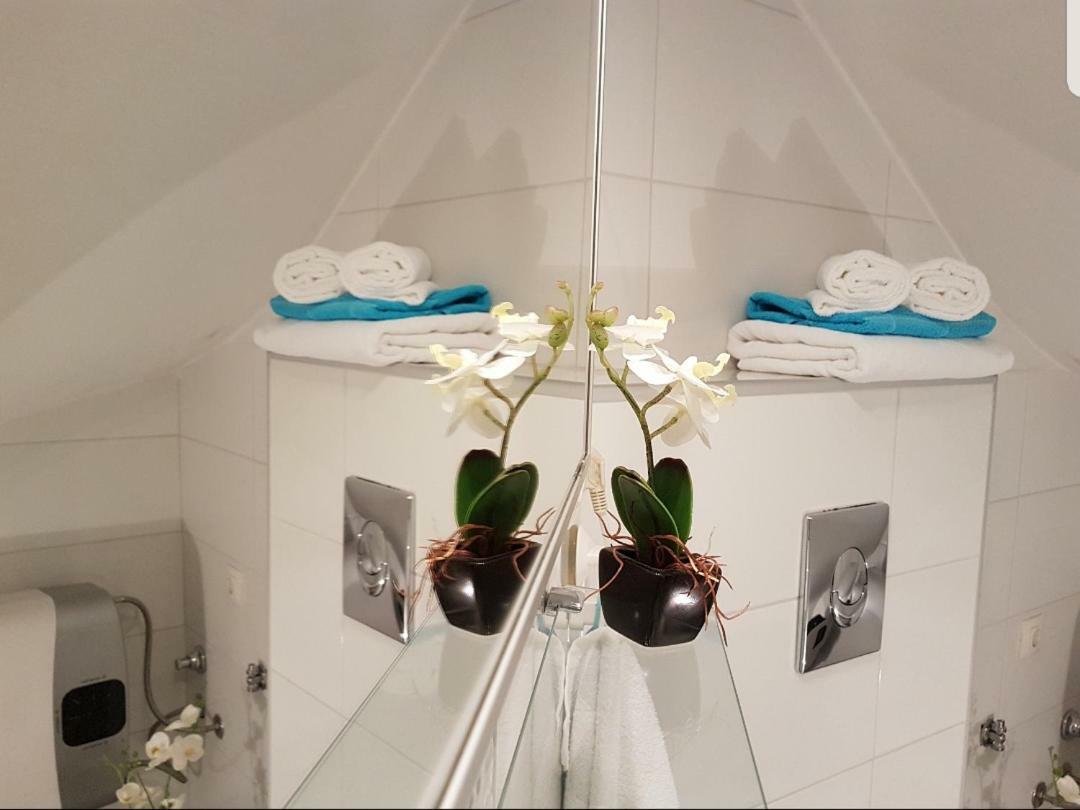 Studio Apartment Lily Rovinj Exterior photo